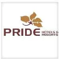 Pride Hotel pool construction and design executed by Champion Pools in India